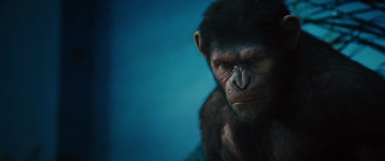    / Rise of the Planet of the Apes (2011) BDRip