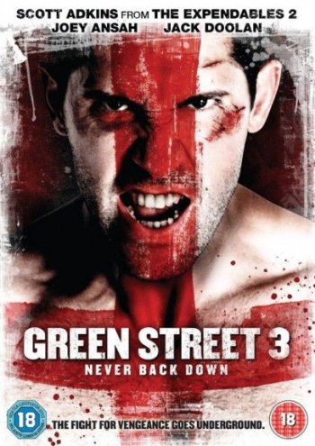  3 / Green Street 3: Never Back Down (2013)