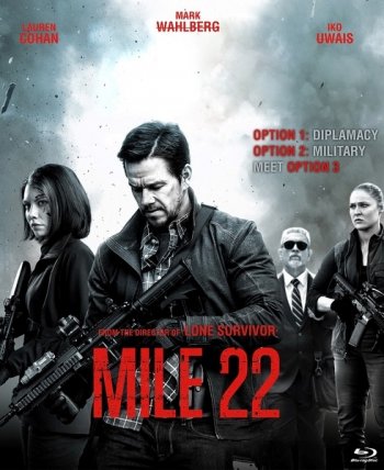 22  (2018)