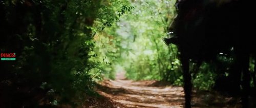 Сказка о царе Салтане (2026) Сказка о царе Салтане (2026)