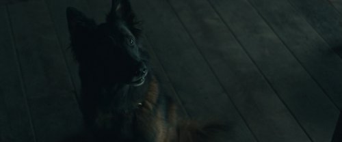 ������� (2026)